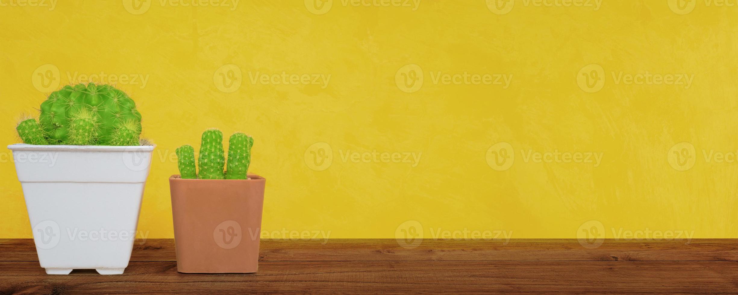 Small green cactus in pot on wood floor with yellow wall and copy space. photo