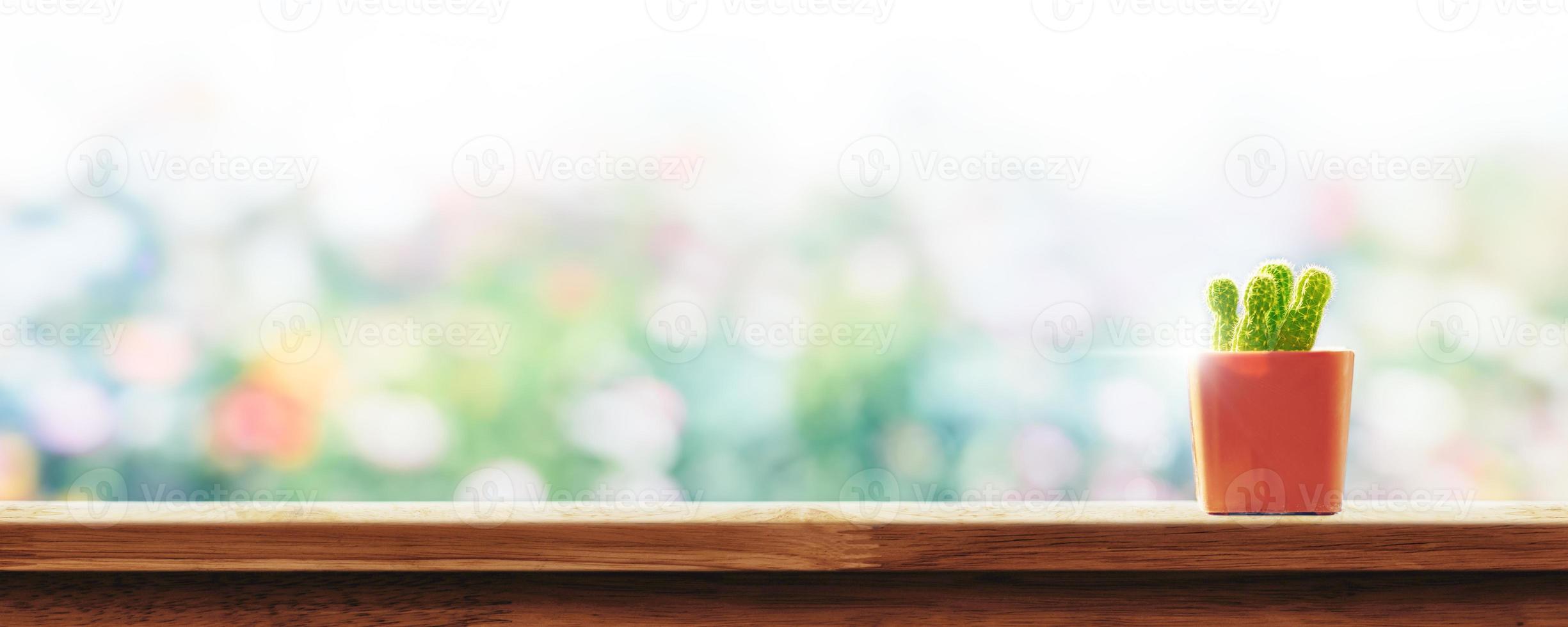 Small green cactus in pot on wood table with abstract blur garden background and copy space. photo