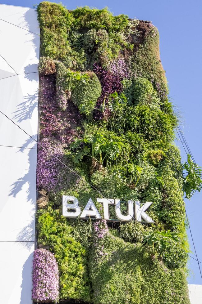 Buenos Aires, Argentina. 2019. Vertical garden of a store photo