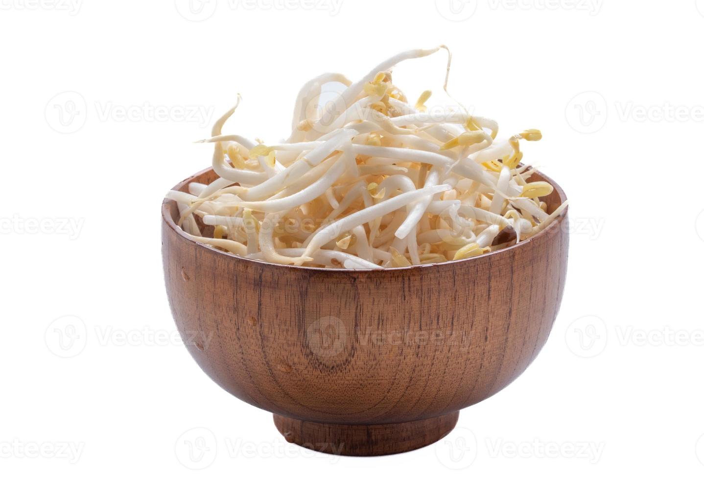 fresh bean sprouts in a cup on a white background photo