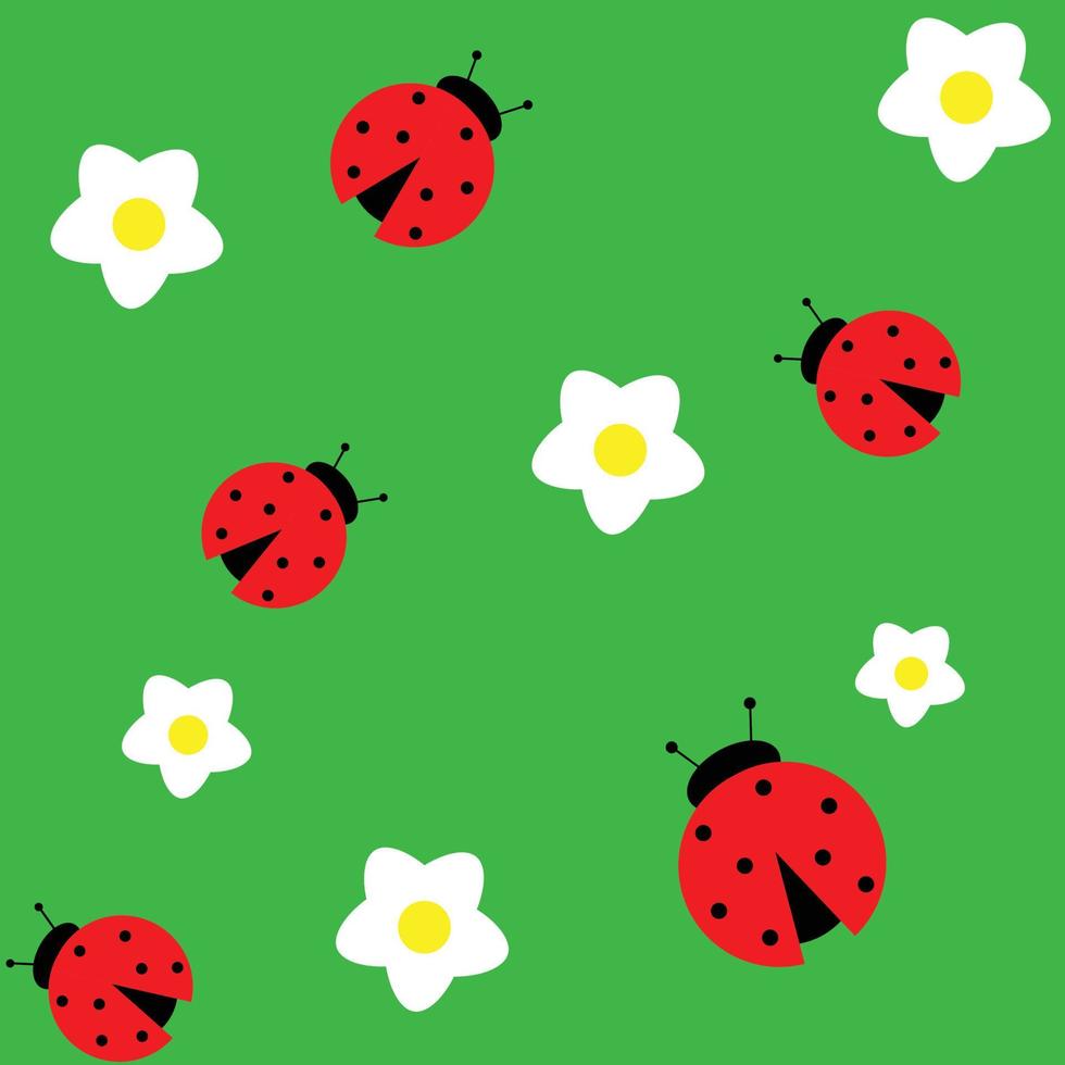 patrón de mariquita y flores blancas. ilustración vectorial vector