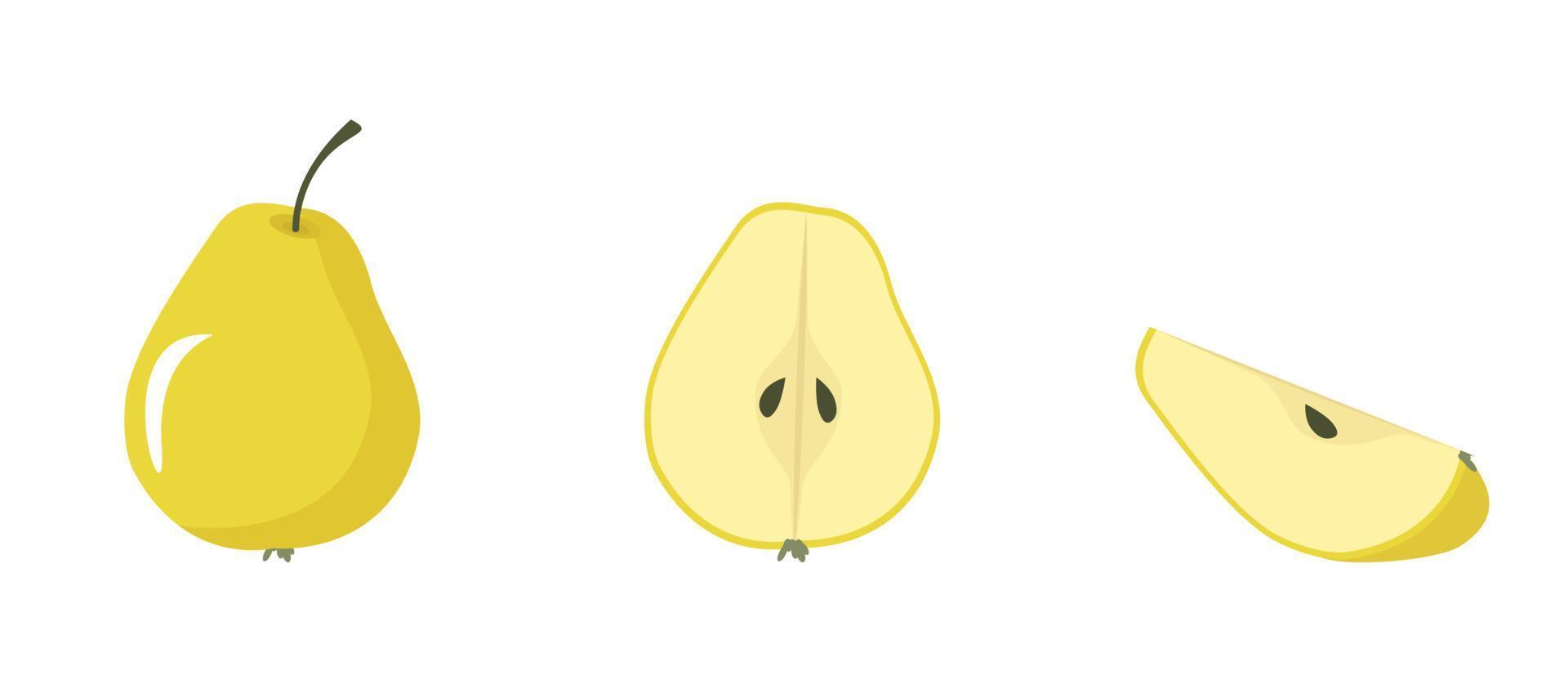 set of pears. pear whole, half and slice vector
