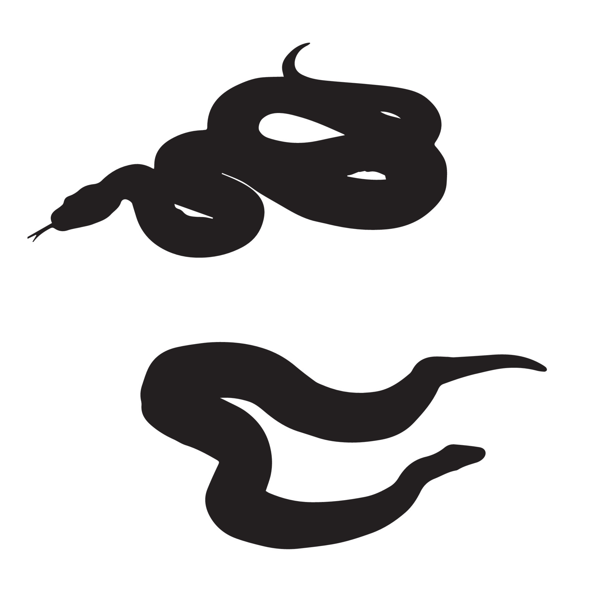 Python Silhouette