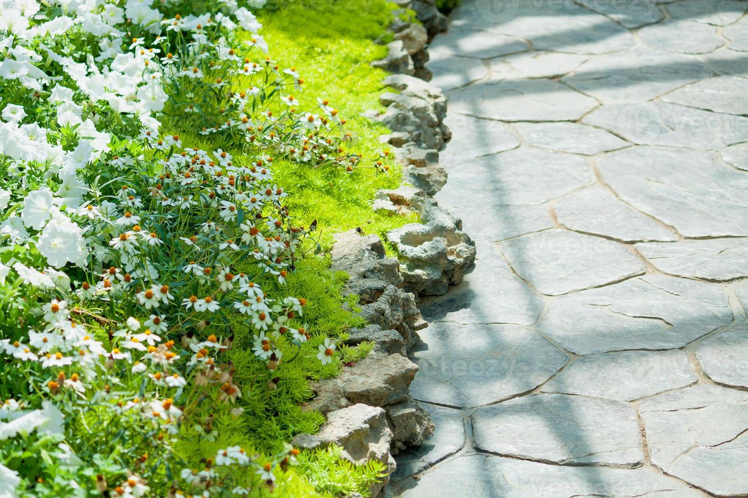 Garden path close up photo