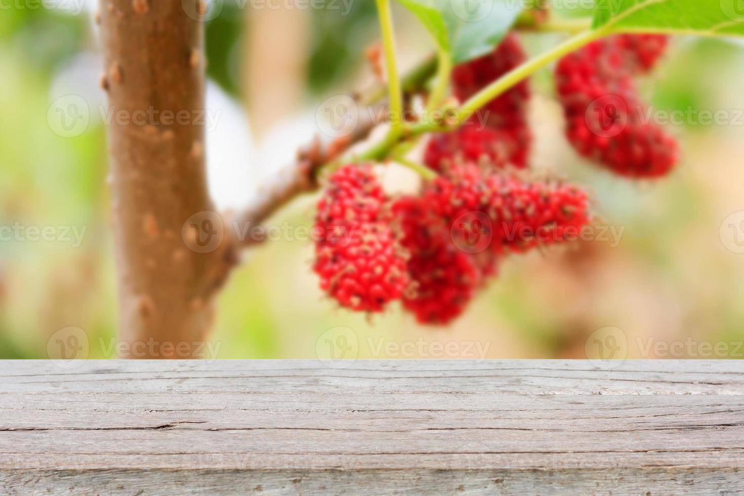 wood table with red mulberries background photo