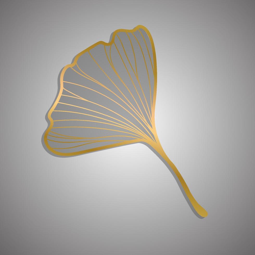 Vector illustration of ginkgo biloba leaf. ink line art design