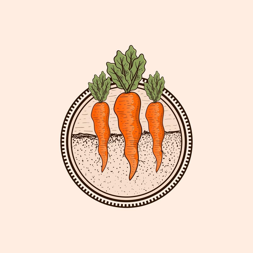 farm logo in vintage style with carrot vector elements