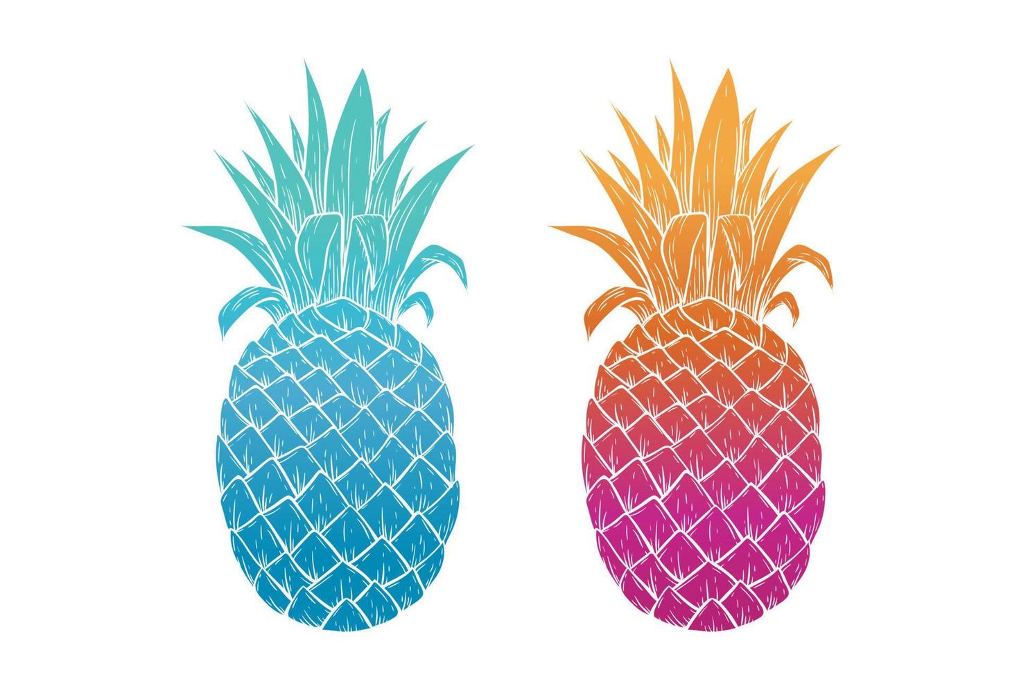 colorful pineapple with hand drawn style vector