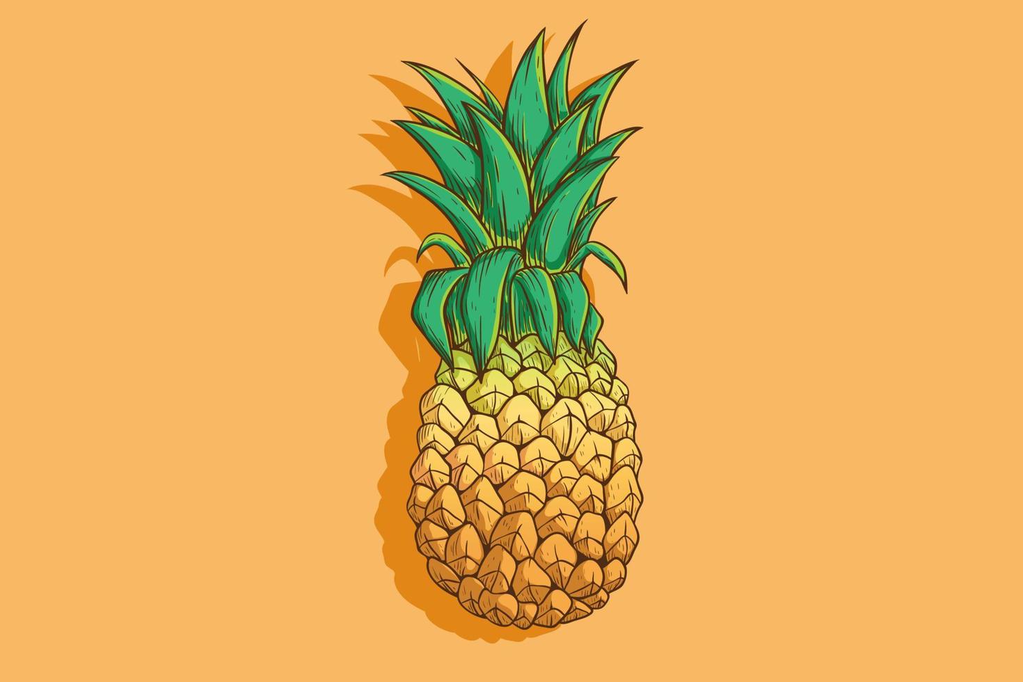 colorful pineapple illustration with hand drawn style vector