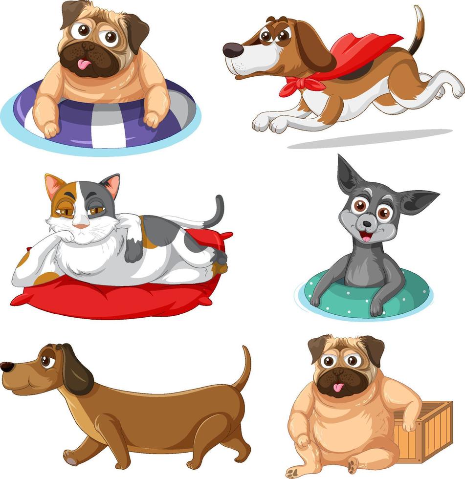 Set of different domestic animals on white background vector