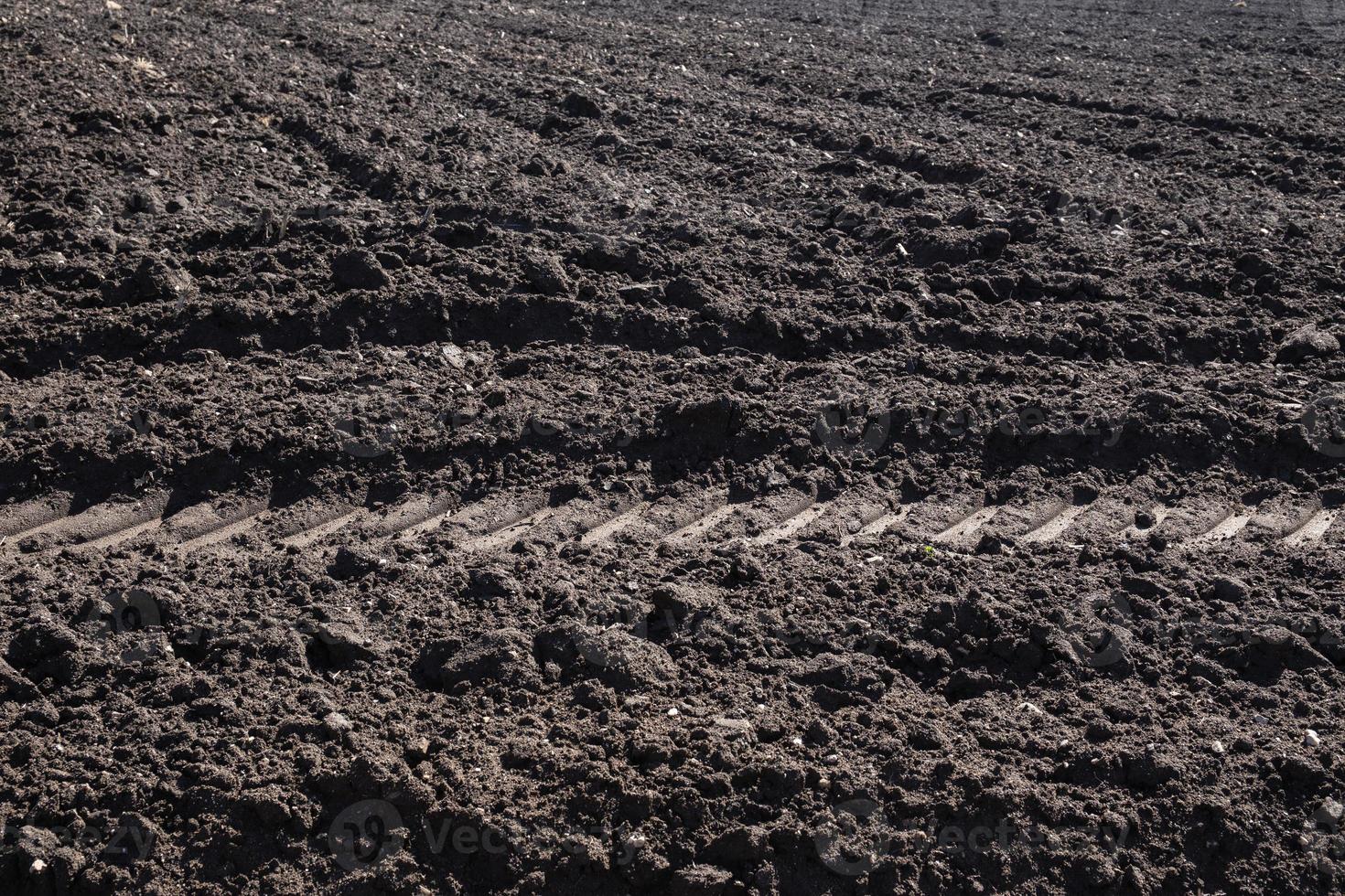 Cultivated plowed soil with rows and tractor footprint. Agricultural background texture photo