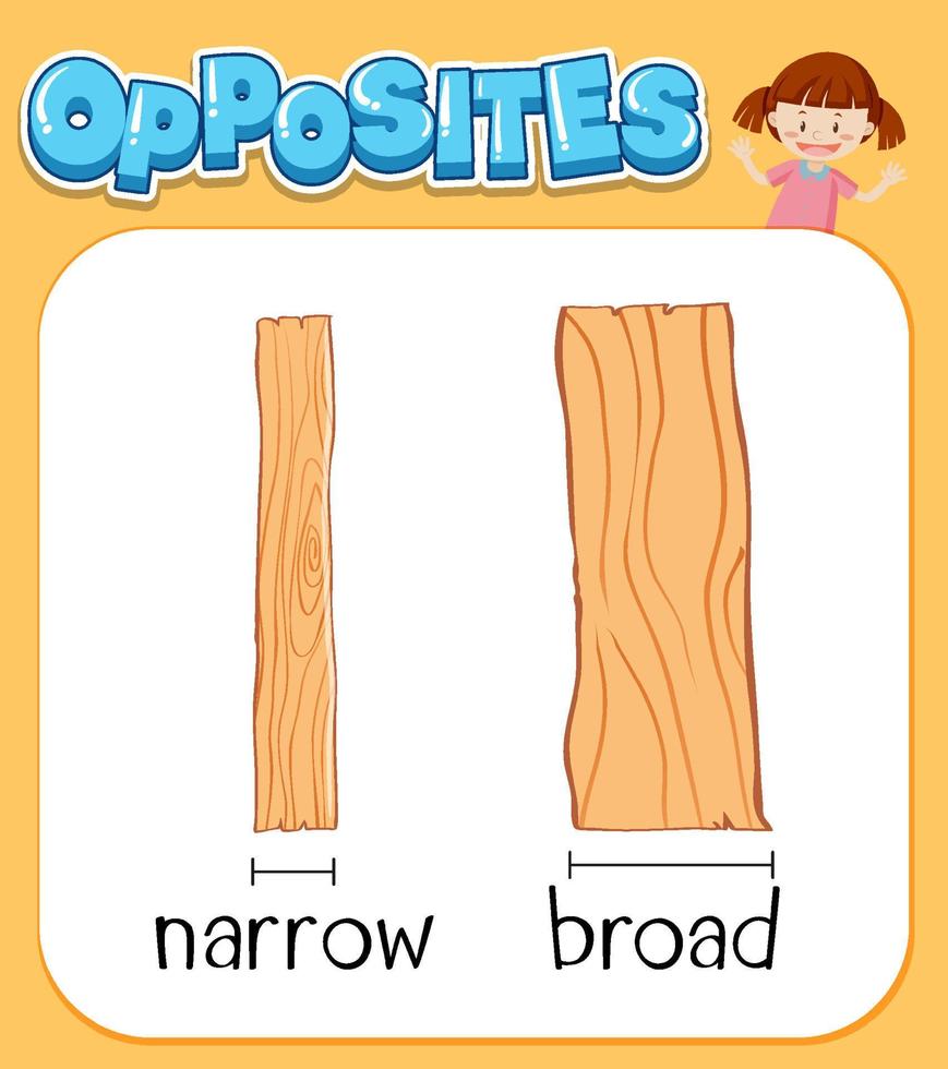 Opposite words for narrow and broad vector