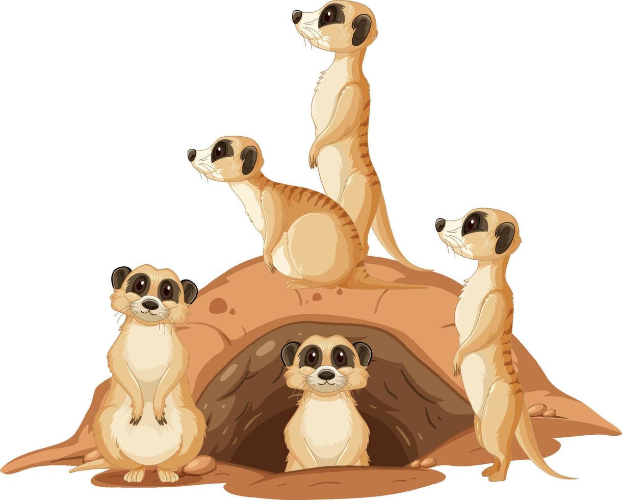 grupo de suricatas con madriguera sobre fondo blanco vector