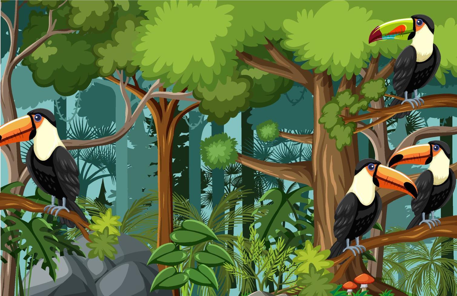 Forest scene with toucan bird family vector