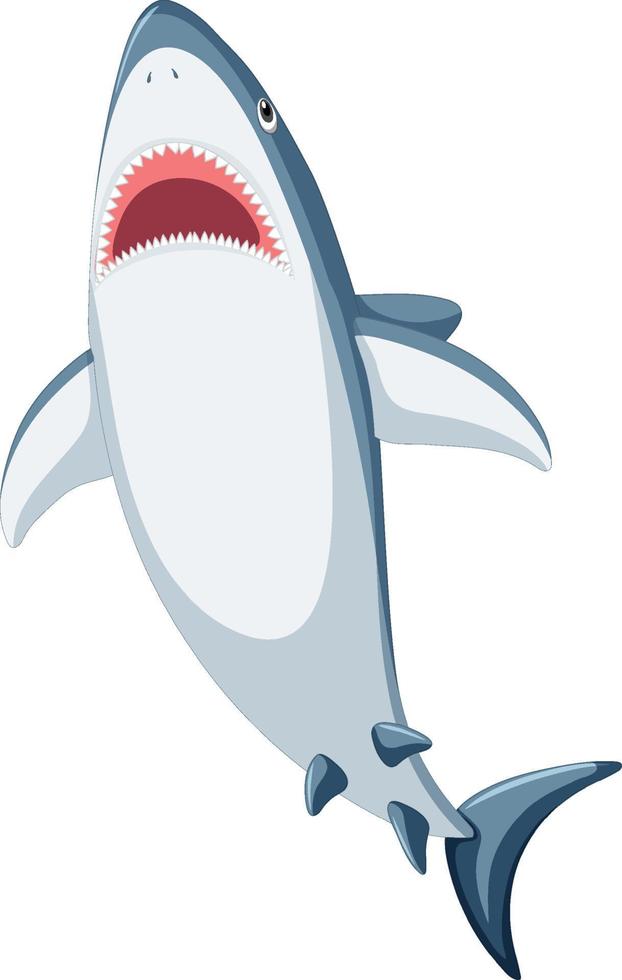 Great white shark cartoon vector