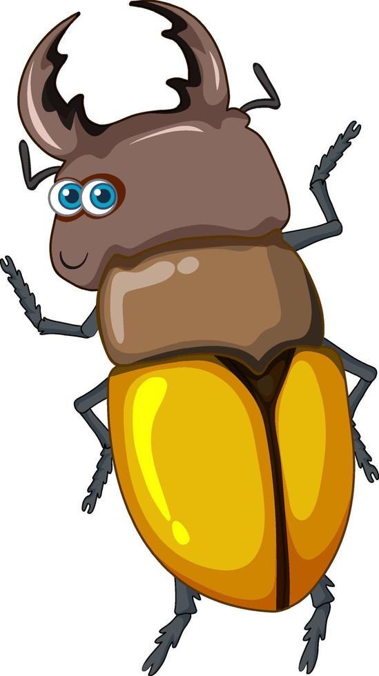 A beetle cartoon character isolated vector