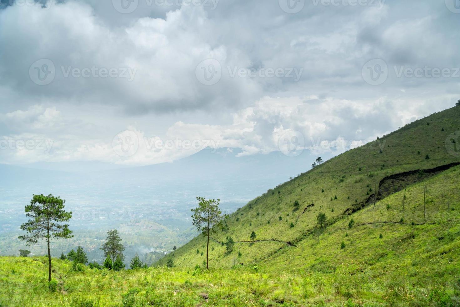 View of Indonesia's mountains with wide green grass photo