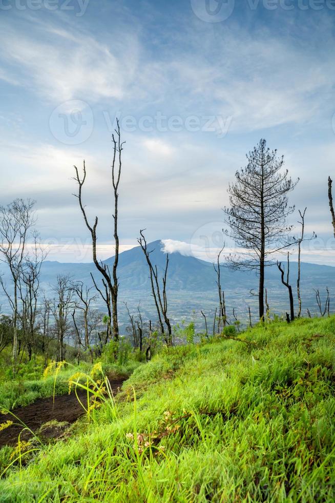 View of Indonesia's mountains with wide green grass photo