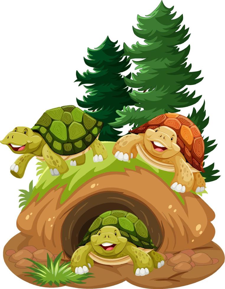 Group of tortoises in burrow vector