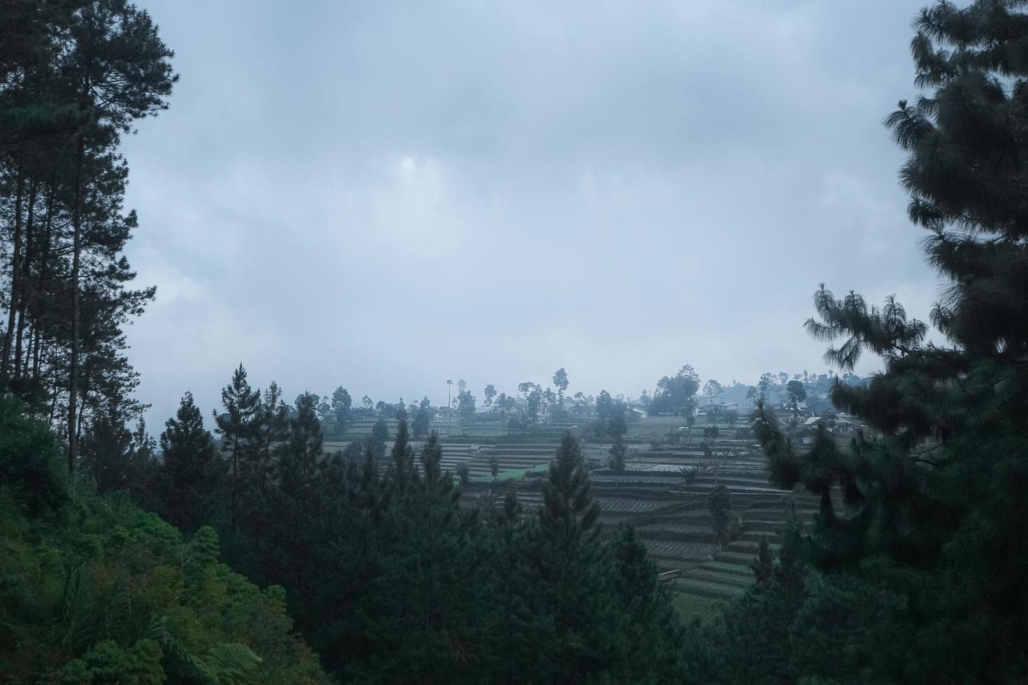 vista al jardín en la colina foto