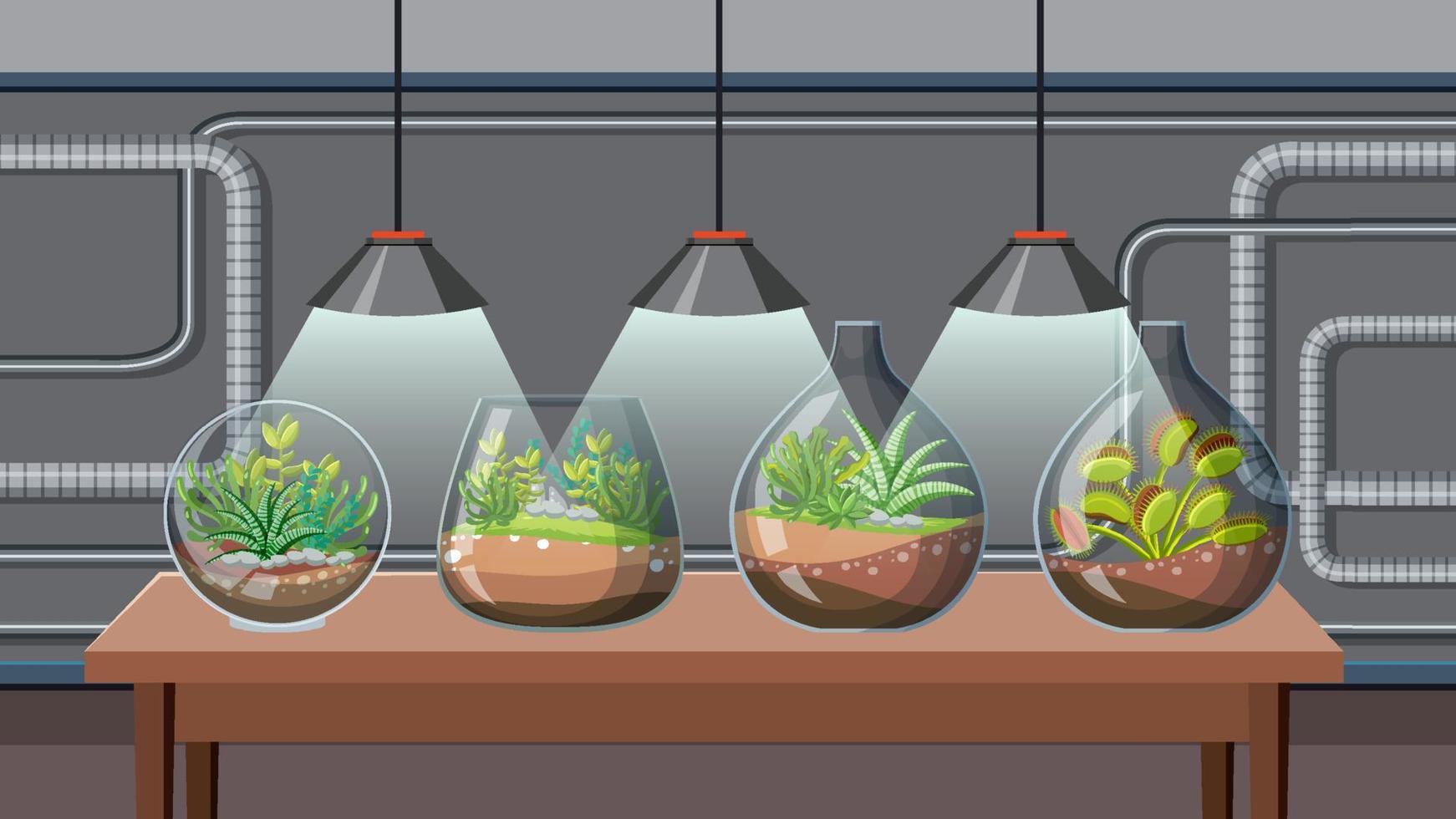 lindos terrarios de vidrio con suculentas en laboratorio vector