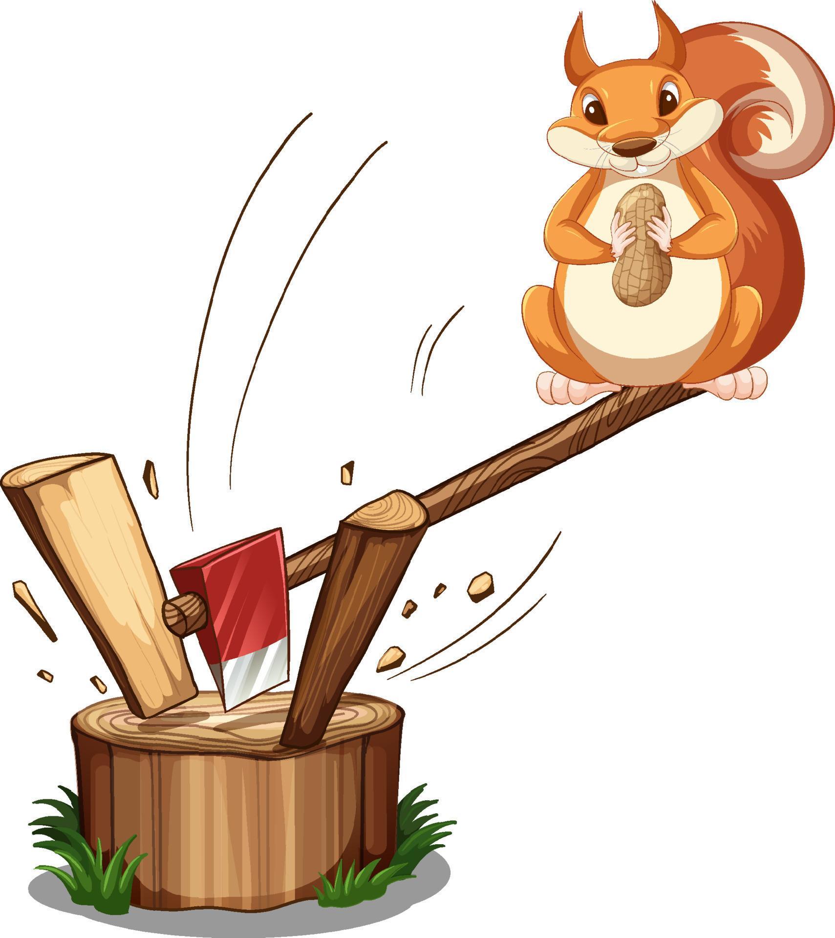 белка на руке. белка. белка из дерева вырезать. человек кормит белку. белки.