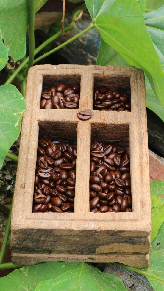 granos de café en cajas de madera de teca, fondo de hoja verde foto