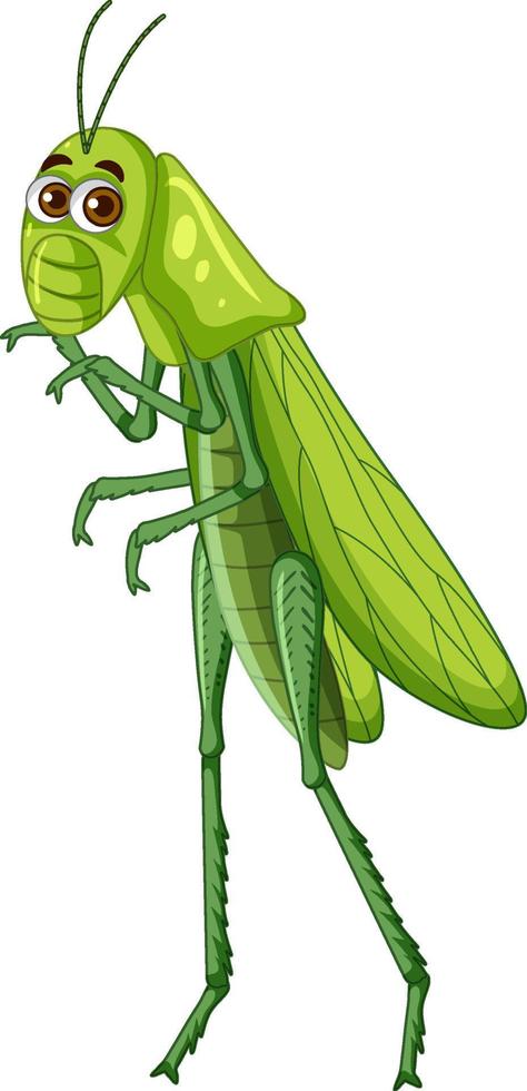 A grasshopper cartoon character isolated vector