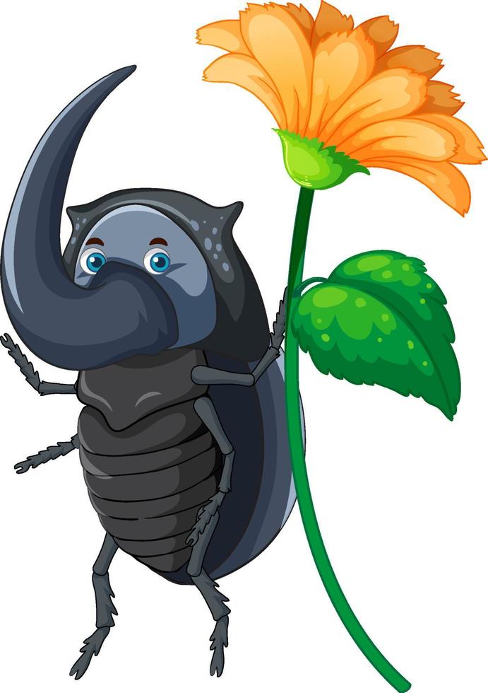 A beetle cartoon character isolated vector