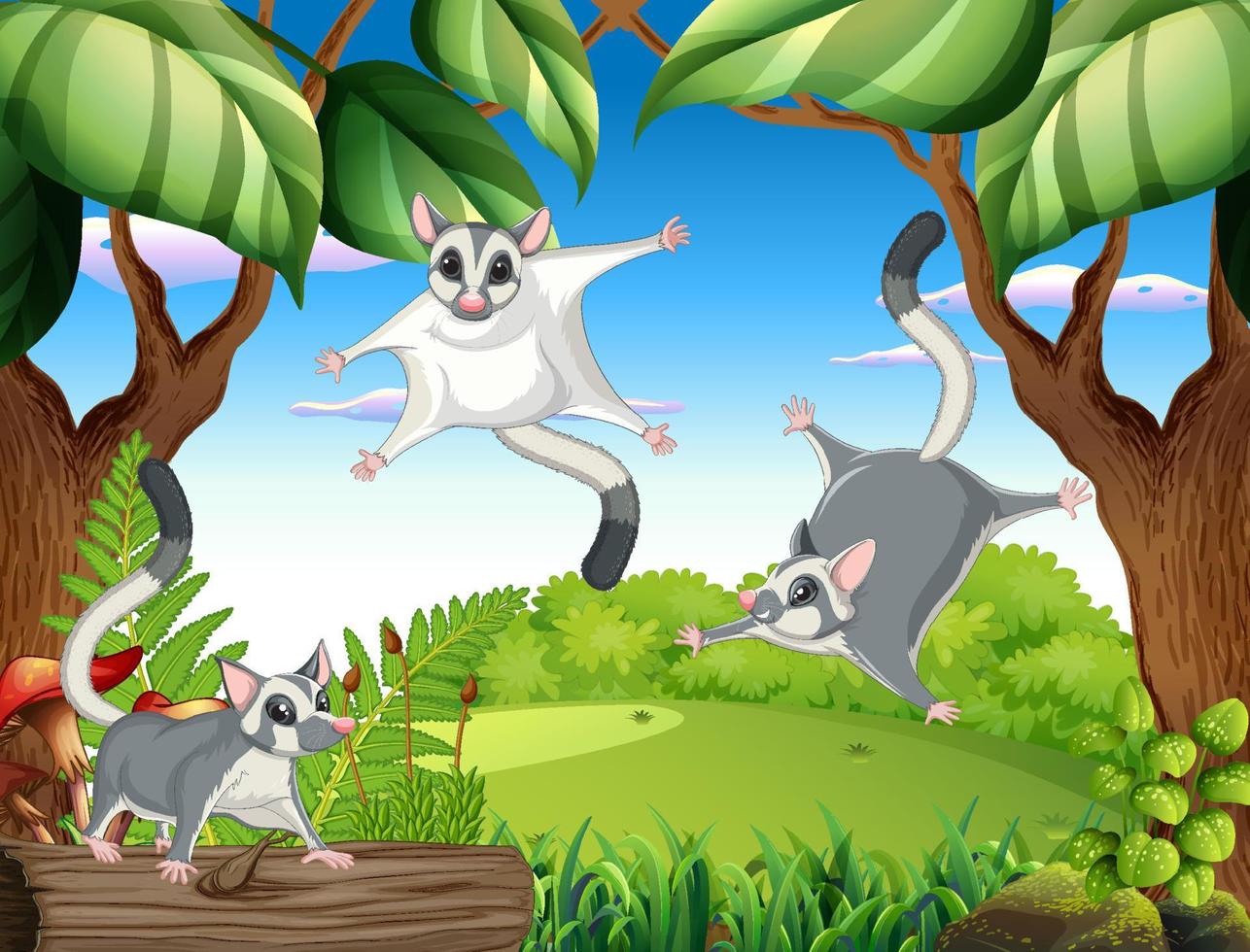 Sugar gliders in the woods vector