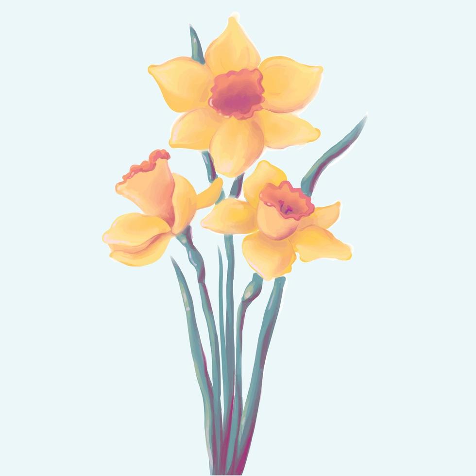 blooming yellow daffodils, spring flowers, vector