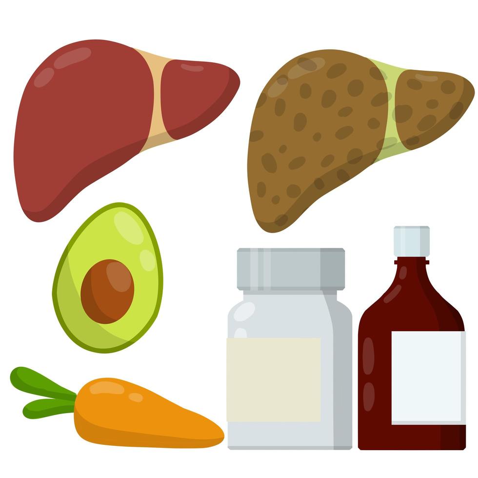 Healthy and diseased liver. vector