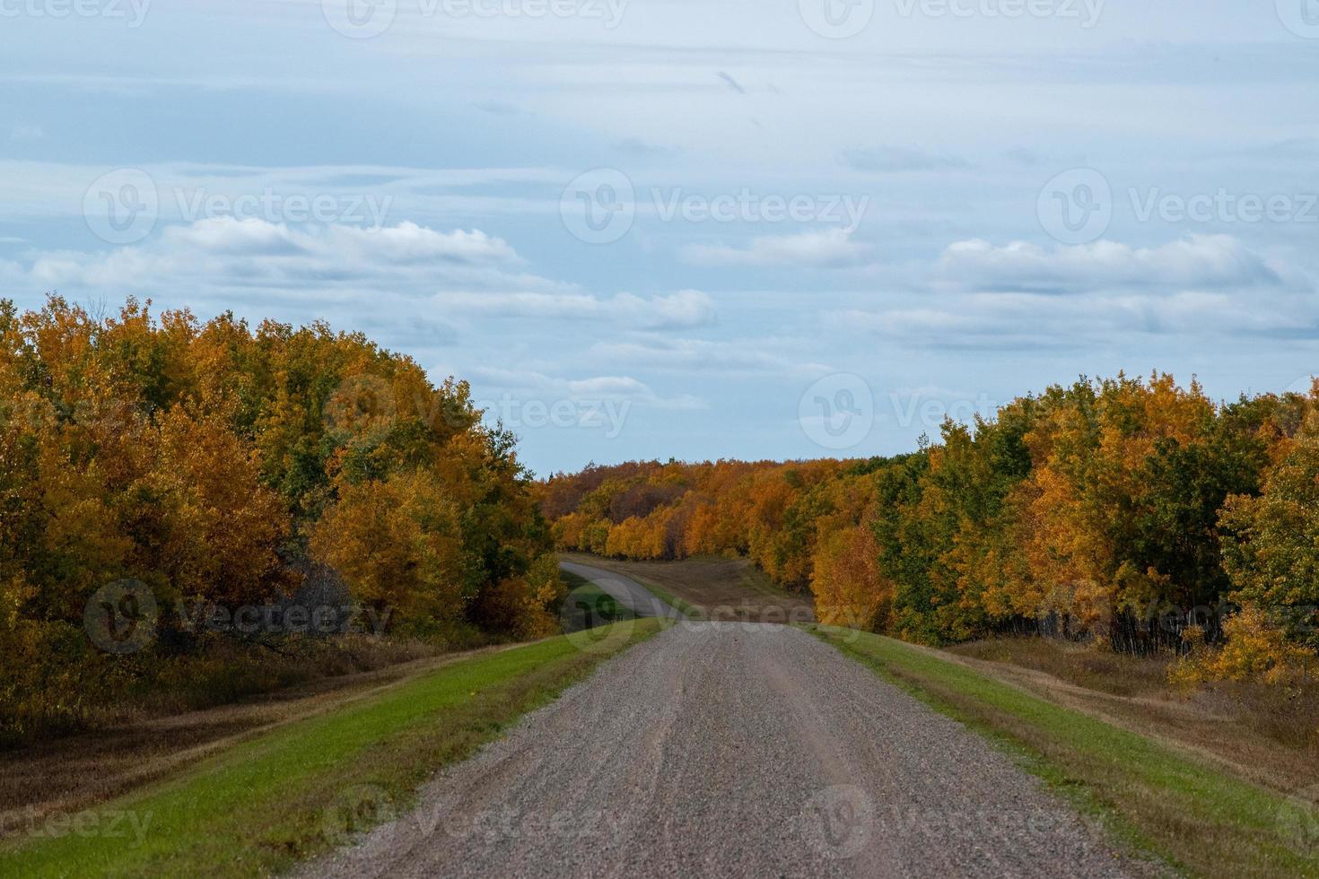 Back country road on the Canadian prairies in fall. photo