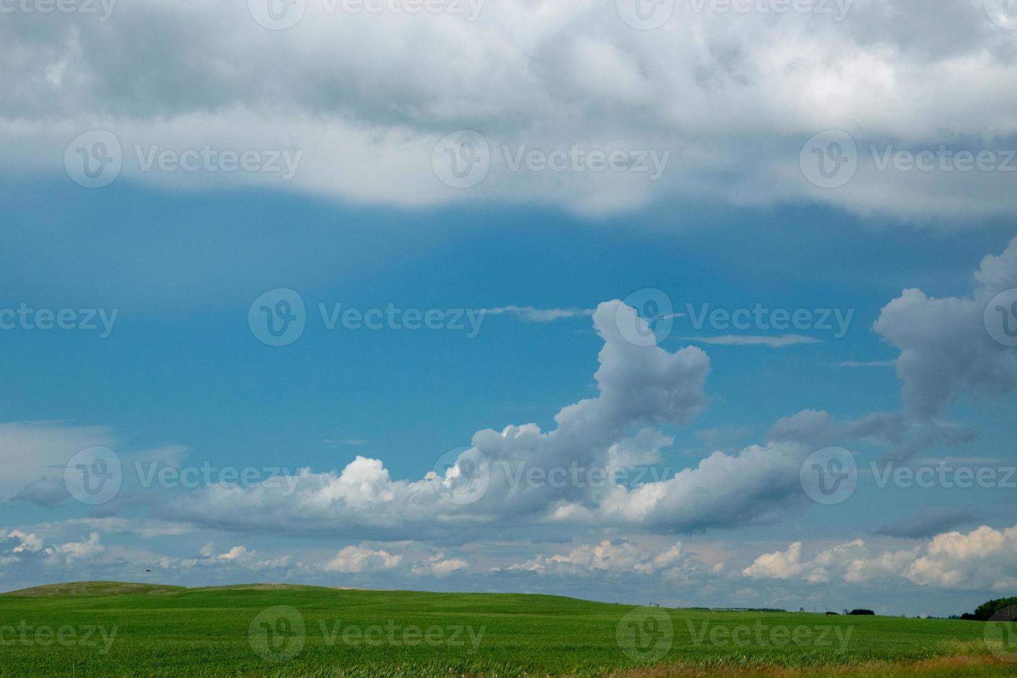 Farm land and canola crops, Saskatchewan, Canada. photo
