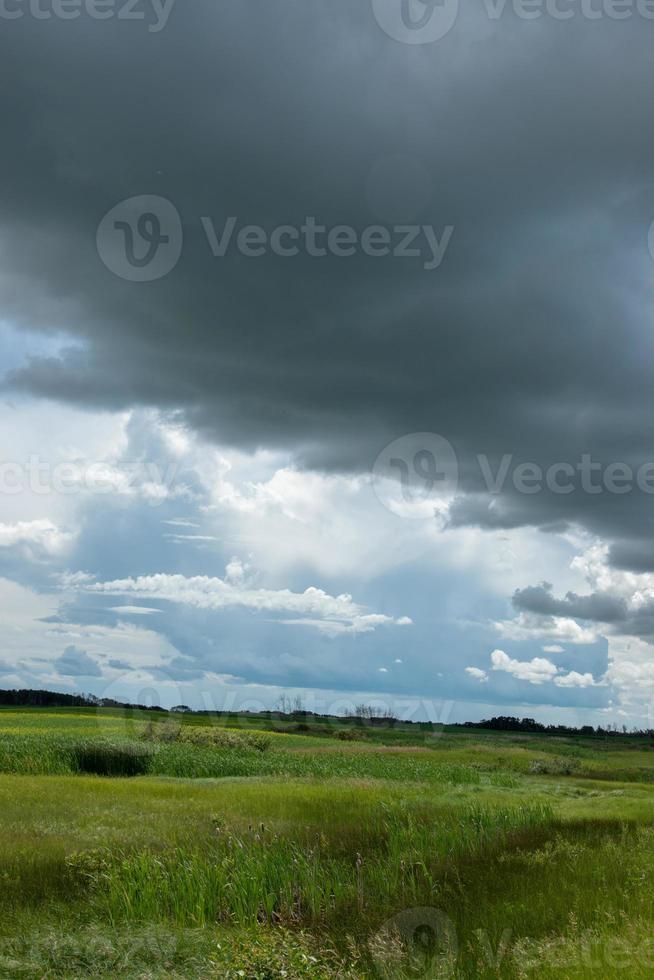 tierra agrícola al norte de churchbridge, saskatchewan oriental, canadá. foto