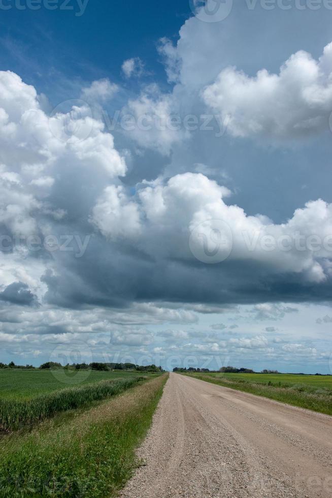camino rural y tierras agrícolas, saskatchewan, canadá. foto