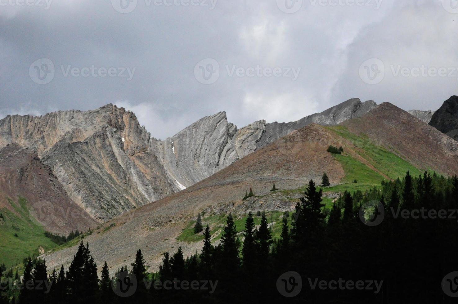 Treeline on a Mountainside photo