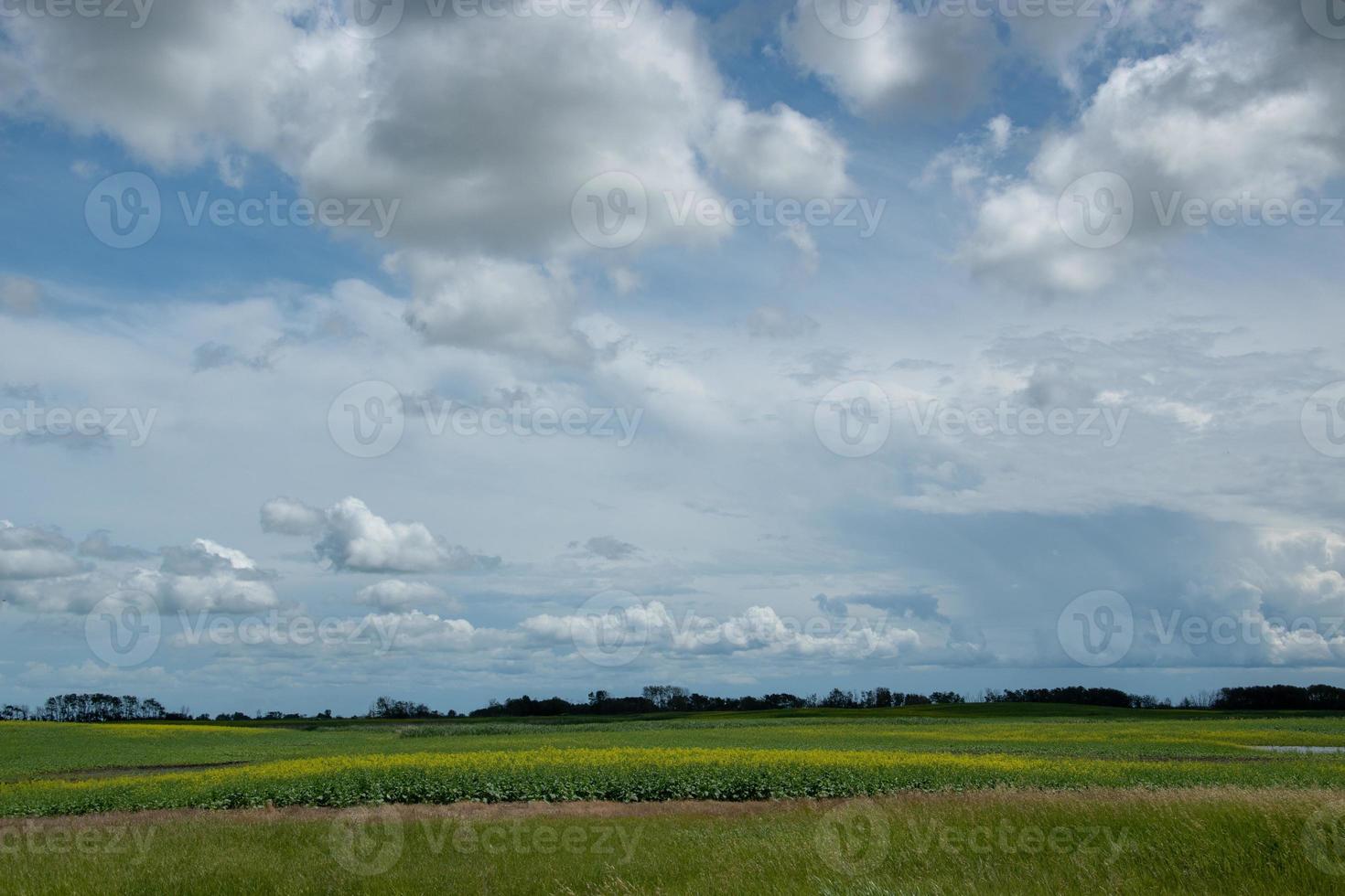 tierra agrícola al norte de churchbridge, saskatchewan oriental, canadá. foto