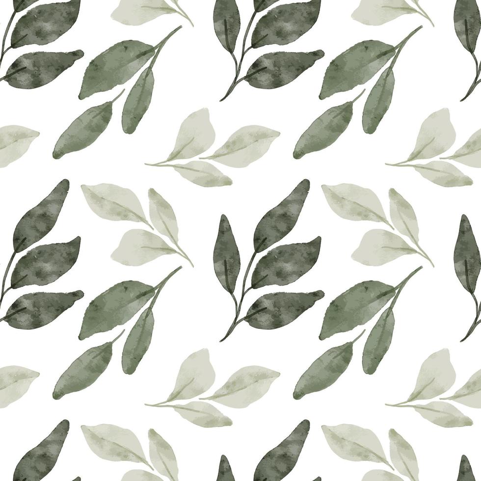 Foliage leaf floral watercolor paint seamless pattern vector