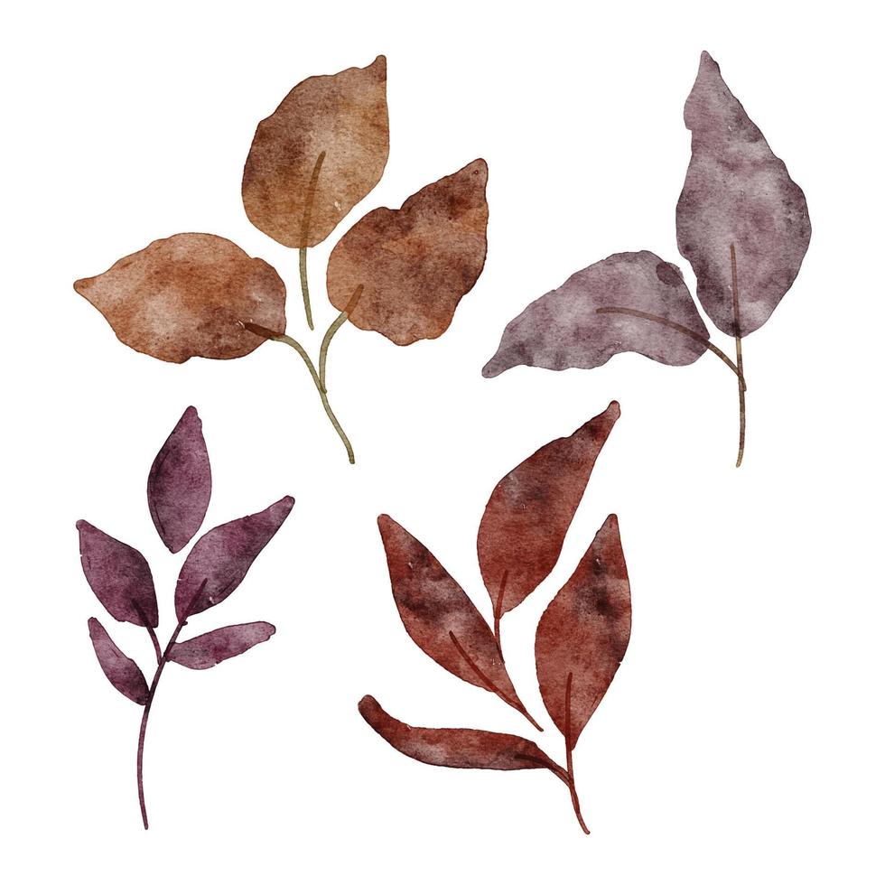 Foliage leaf floral watercolor paint autumn collection vector