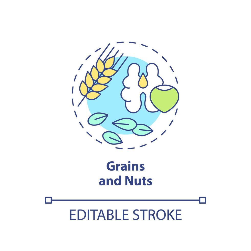 Grains and nuts concept icon. Food for healthy bones abstract idea thin line illustration. Osteoporosis risk prevention. Isolated outline drawing. Editable stroke. Arial, Myriad Pro-Bold fonts used vector