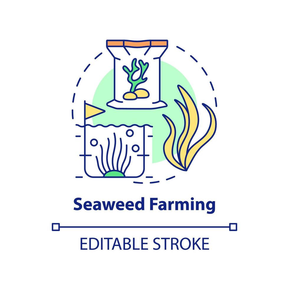 Seaweed farming concept icon. Nutritious food production. Agricultural trends abstract idea thin line illustration. Isolated outline drawing. Editable stroke. Arial, Myriad Pro-Bold fonts used vector