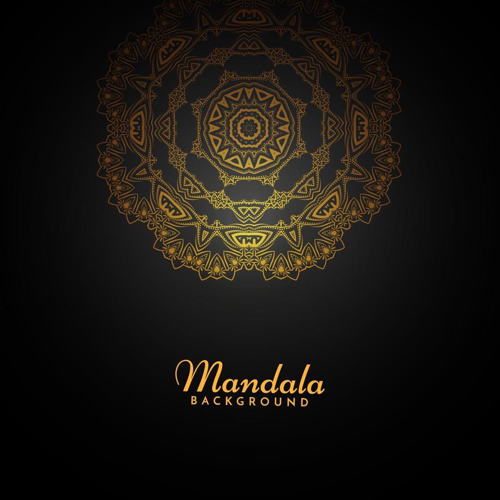 Decorative background with stylish mandala design ornament pattern vector