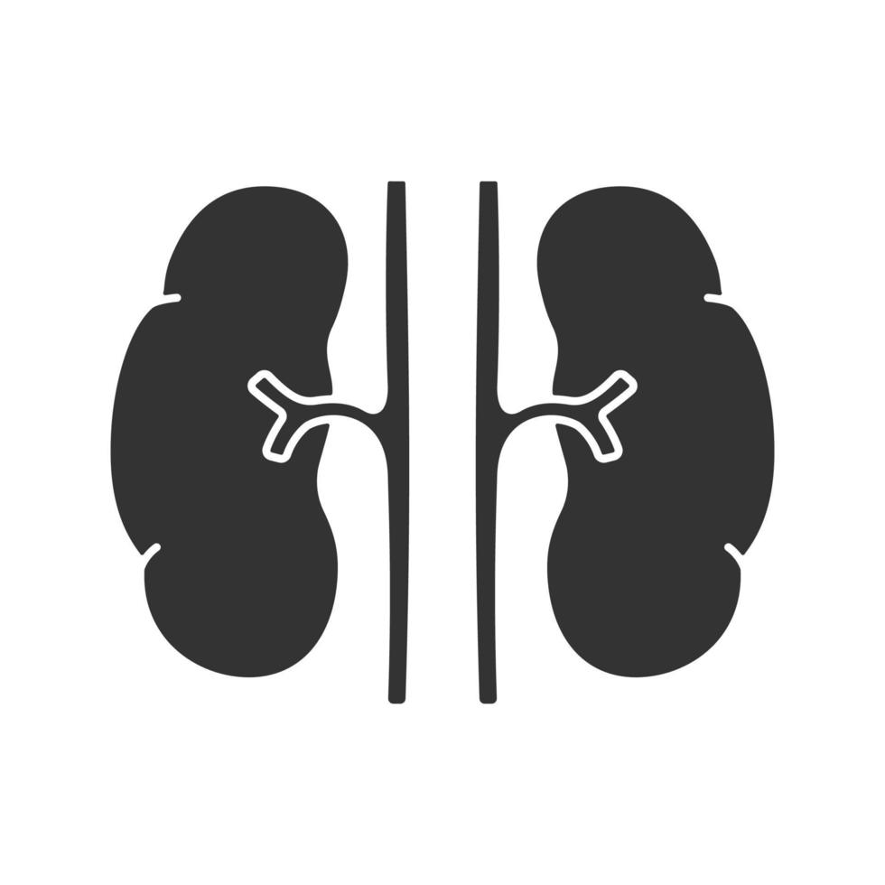 Human kidneys glyph icon. Urinary system. Silhouette symbol. Negative space. Vector isolated illustration