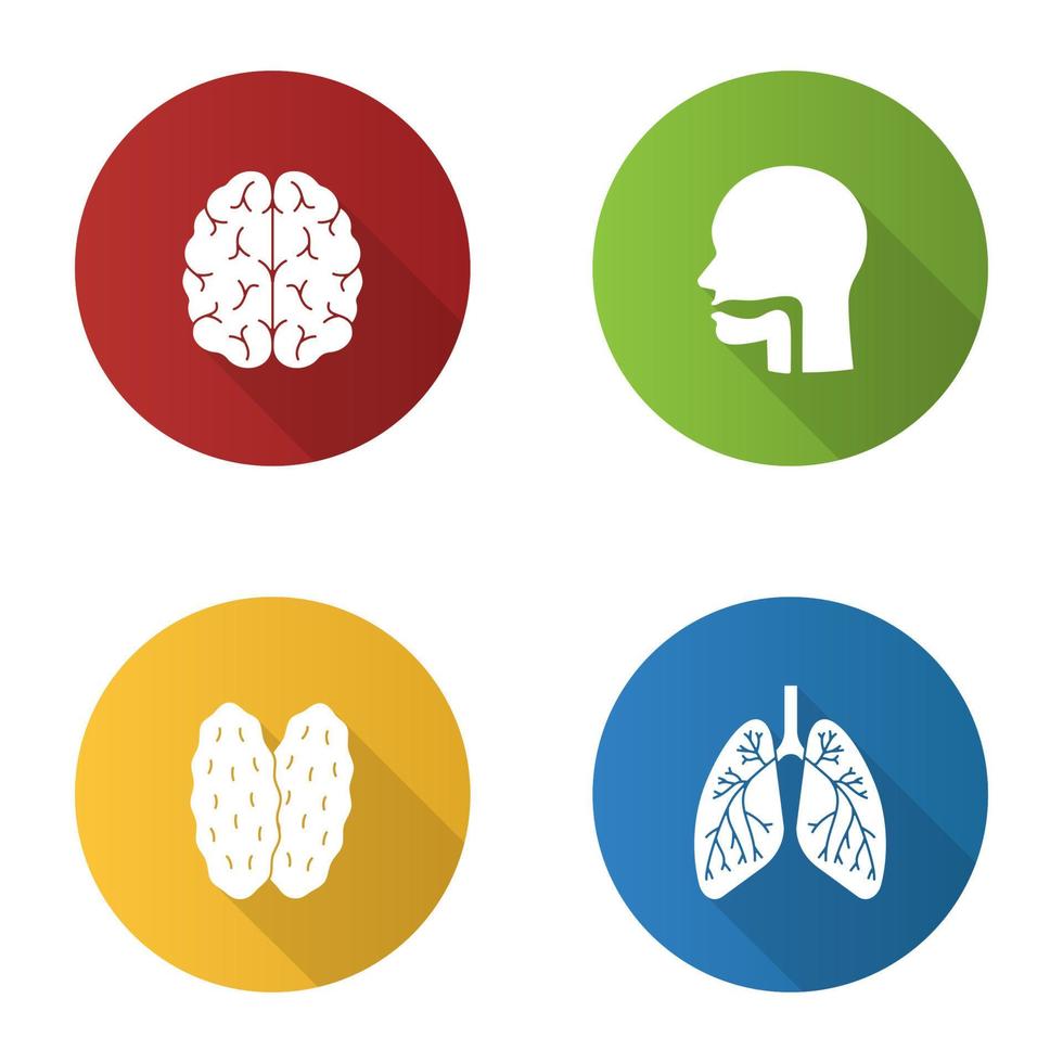 conjunto de iconos de glifo de sombra larga de diseño plano de órganos internos. cerebro, cavidad oral, timo, pulmones con bronquios y bronquiolos. ilustración de silueta vectorial vector