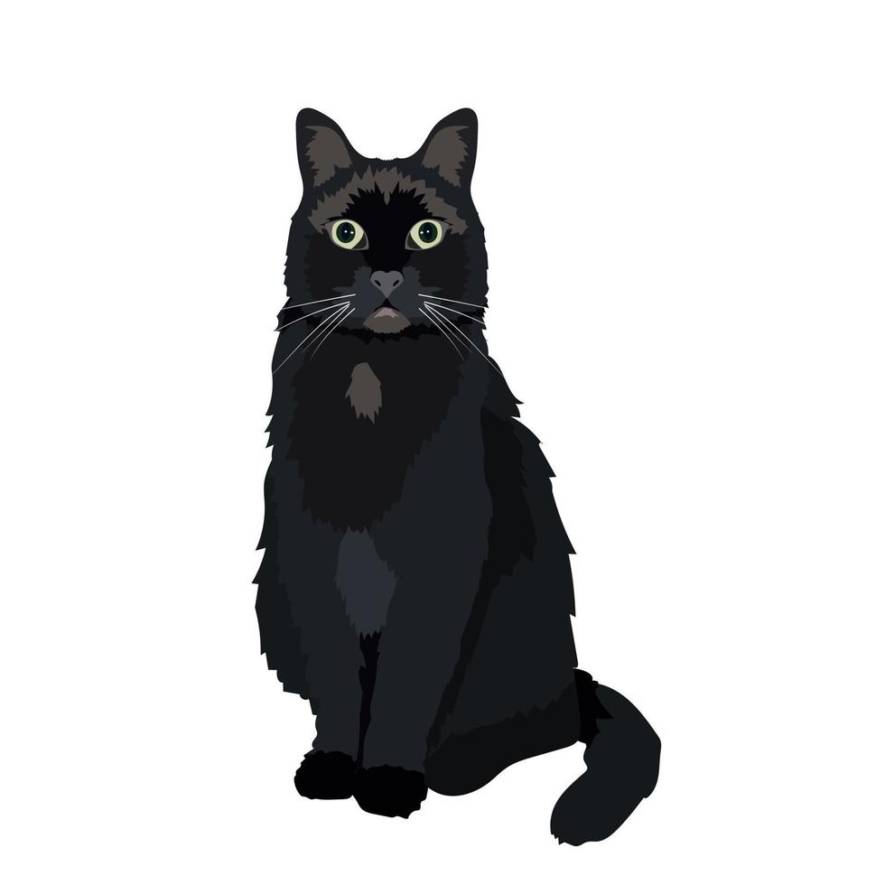 Black cat. Domestic animal. Flat vector stock illustration