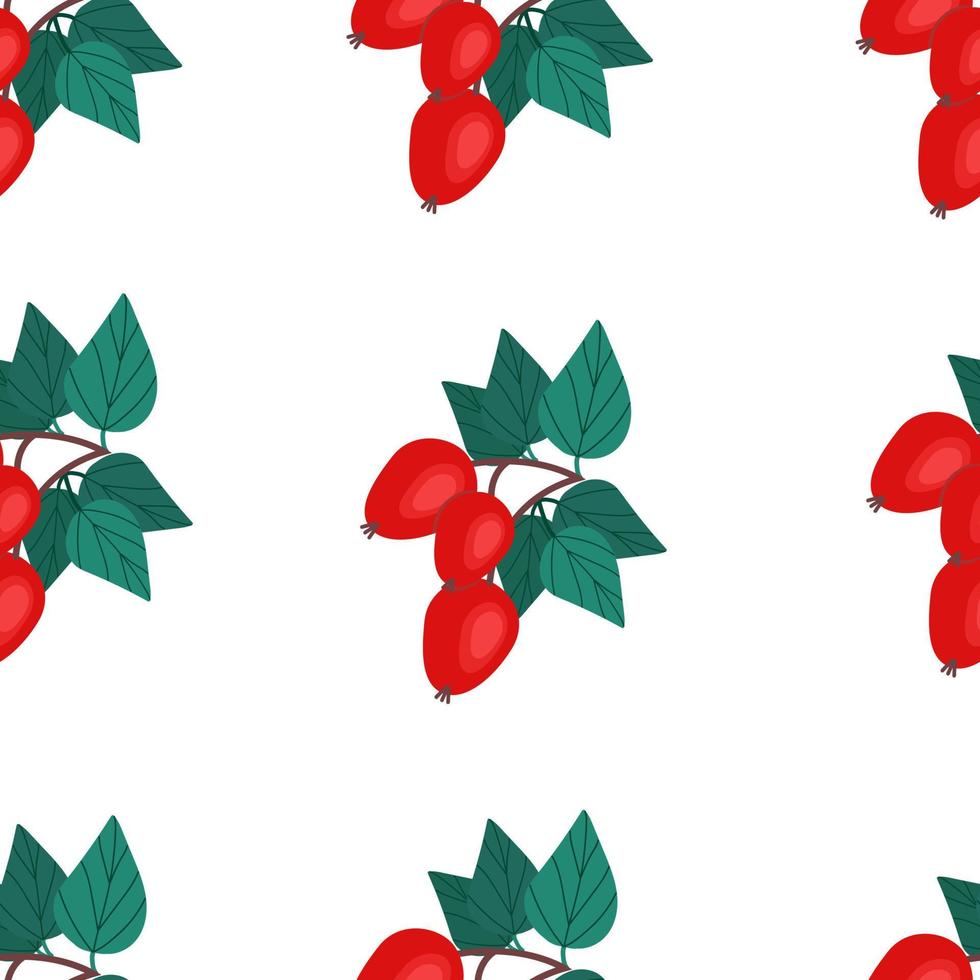 Sprigs of red rose hips seamless pattern. Vector illustration in flat style. Fruit print.