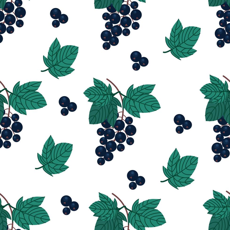 Ripe black currant seamless pattern. Sprig of black currant. Vitamin berries. Vector illustration. Fruit print