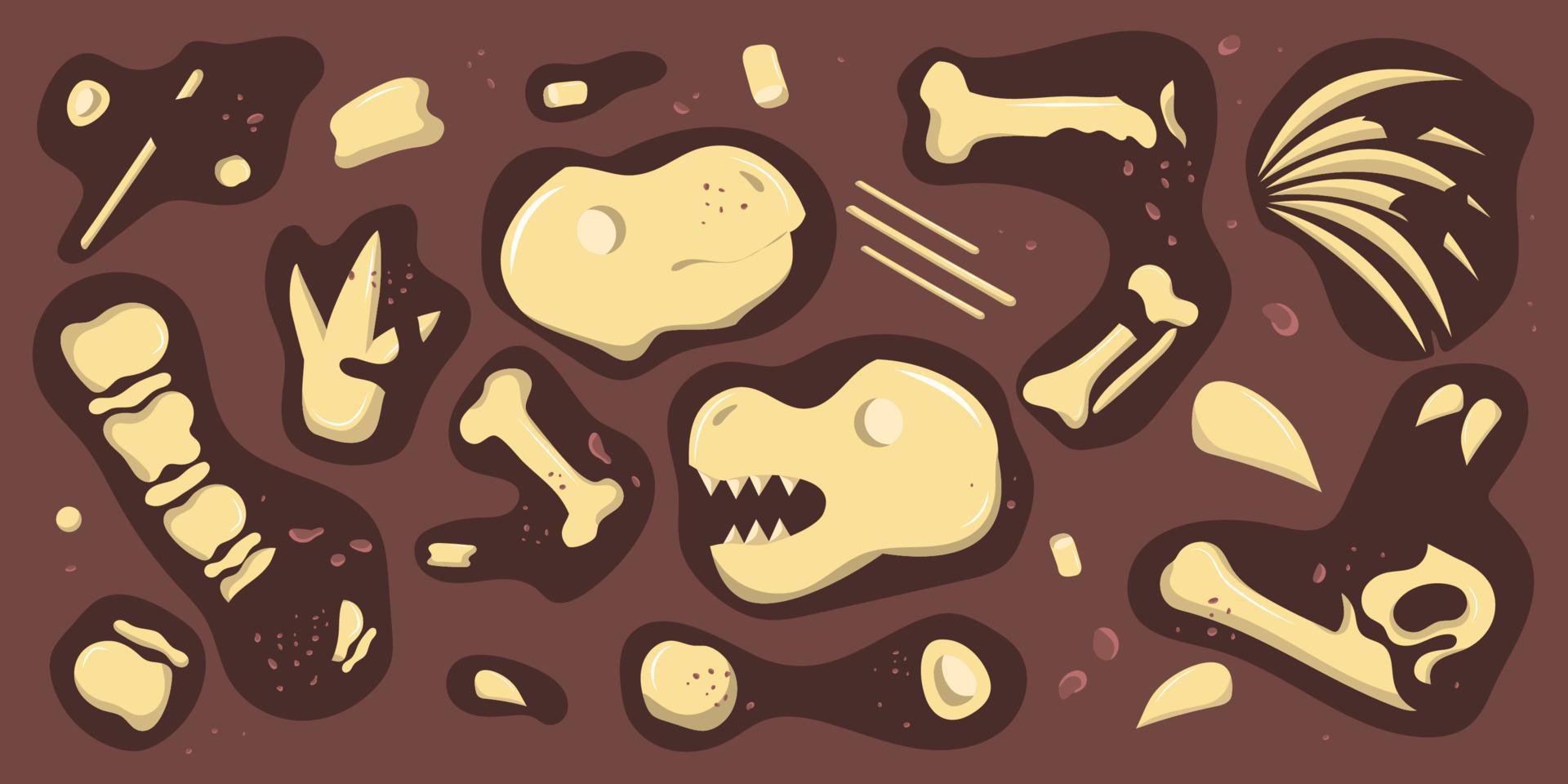 dinosaur bones are broken down in parts vector