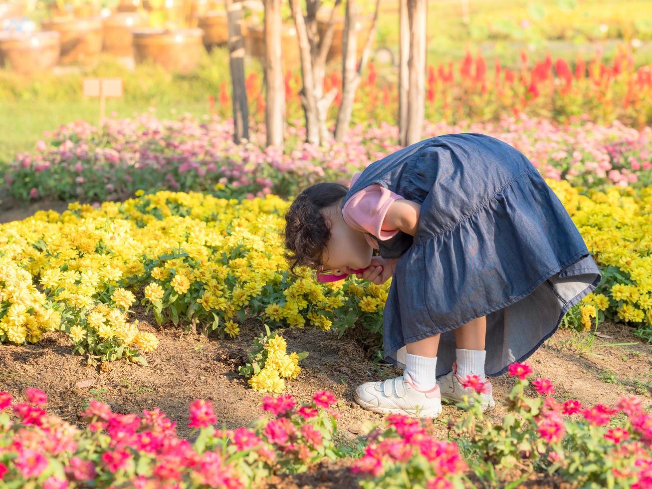 The girl standing  in the field, using a magnifying glass to look at the flowers photo
